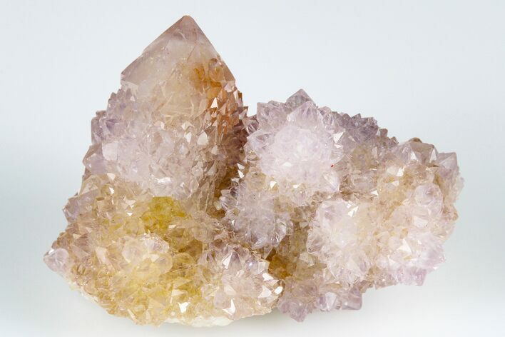 Cactus Quartz (Amethyst) Crystal Cluster- South Africa #182999
